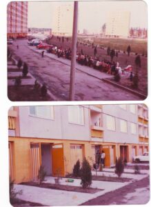 Az Ipoly sor 7b előtt ültetett fiatal meggyfák várják a tavaszt 1982-ben.